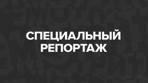 Воровство в каршеринге _ Социальный эксперимент _ Специальный репортаж