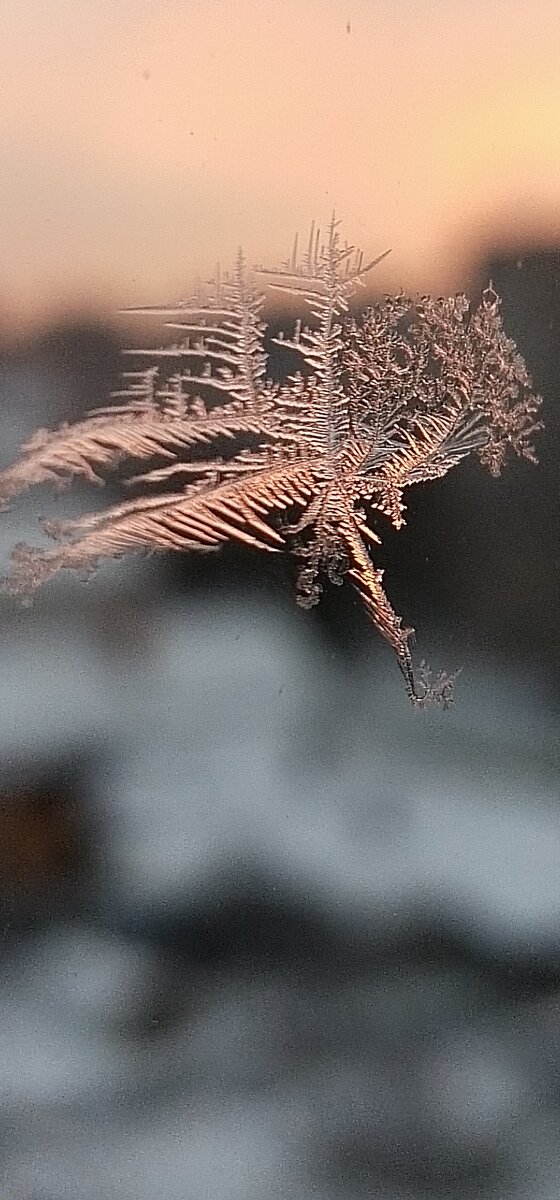 Личное фото