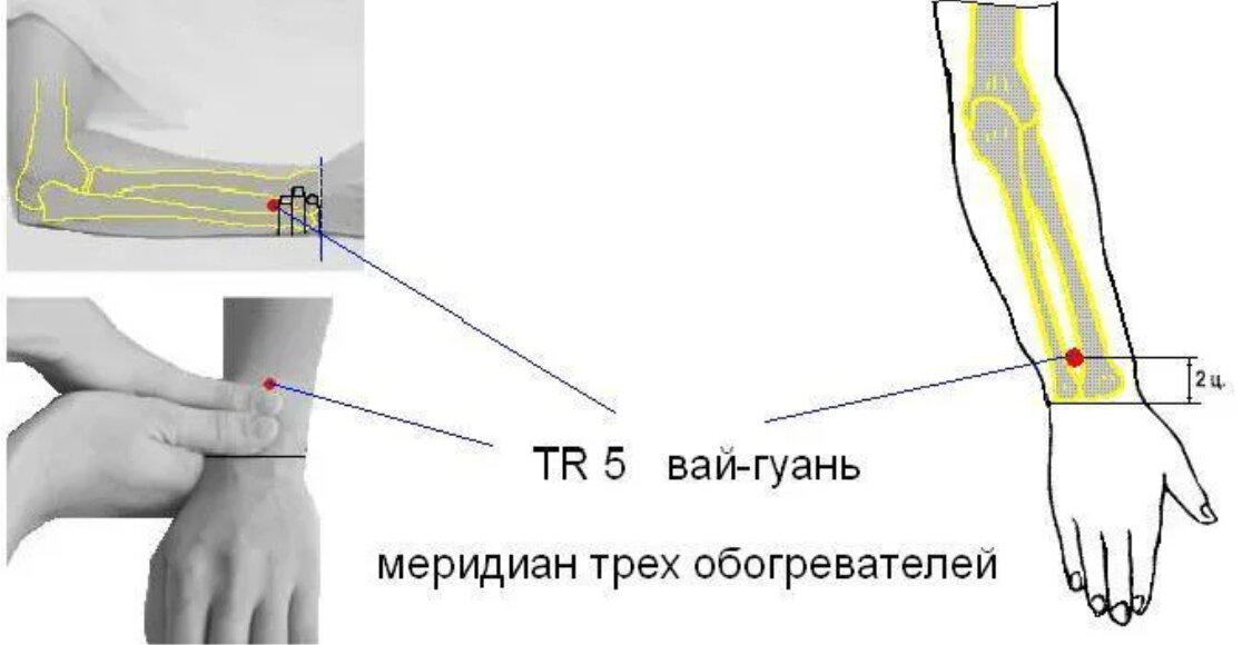 Точка расположение. Точка tr5 вай-Гуань. Вай Гуань точка акупунктуры. Точка вай-Гуань расположение. Вай-Гуань tr.5.