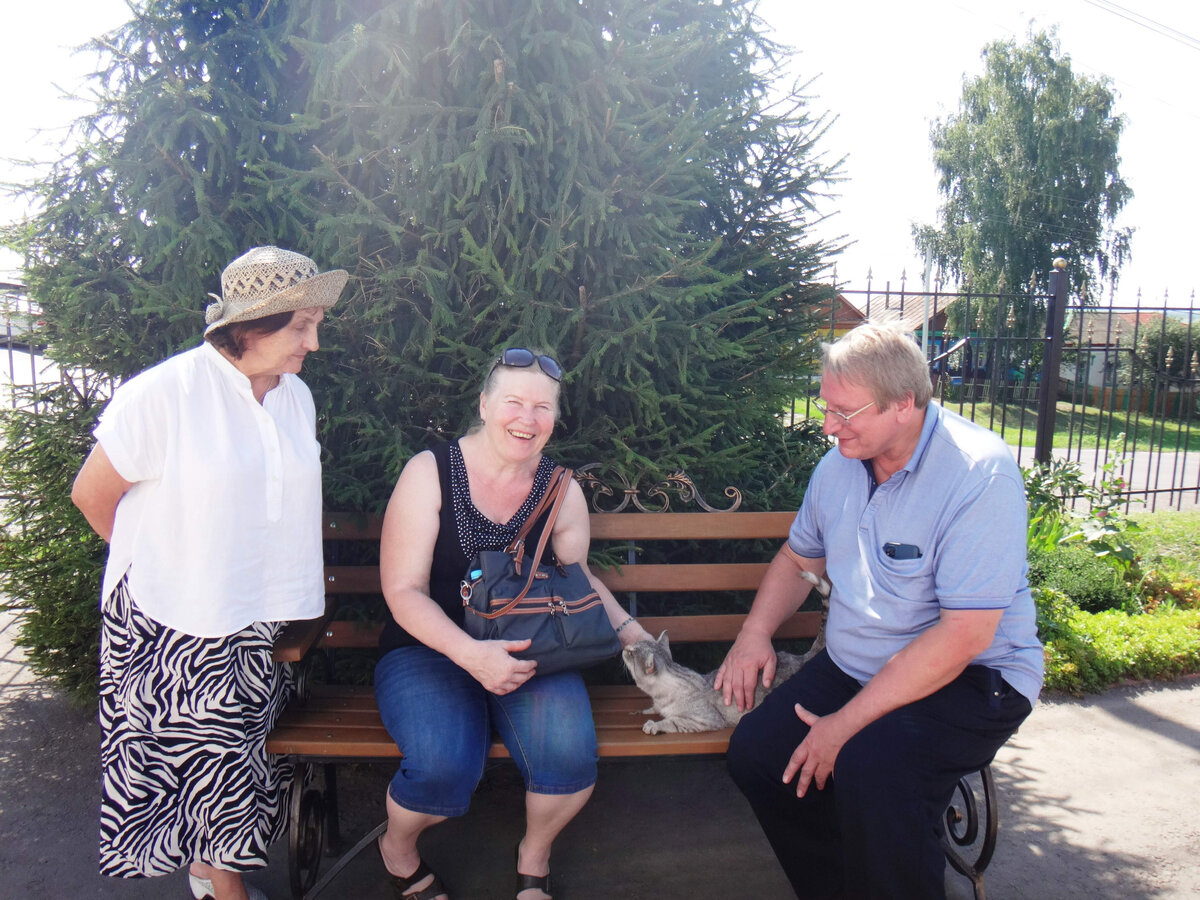 Сердобольные любители кошек в путешествиях обычно не обходят их стороной...