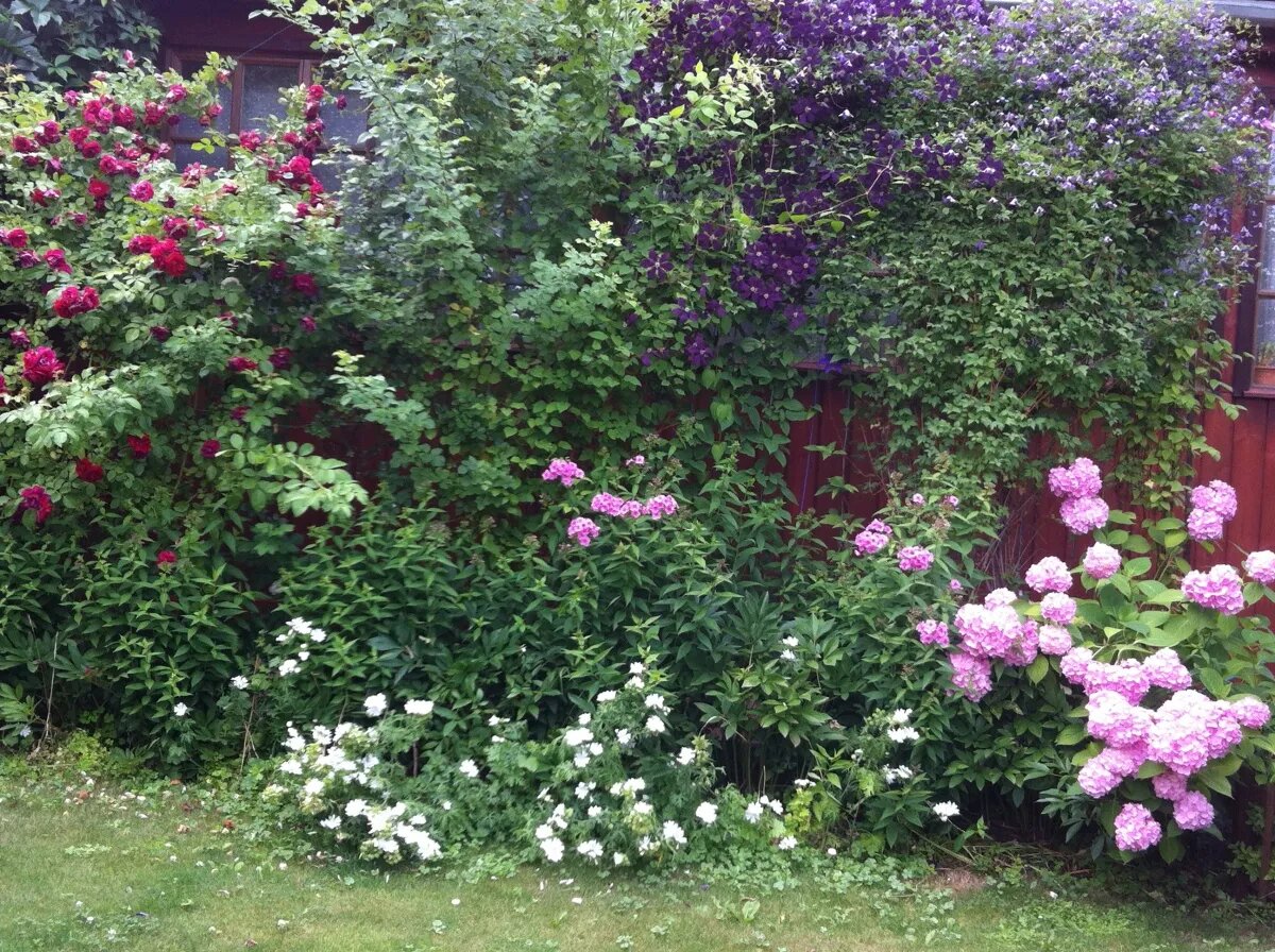 фото из свободного источника