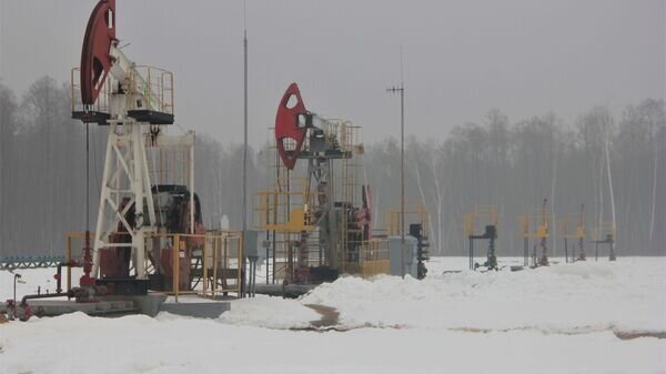    © Sputnik / Станислав Лобатый