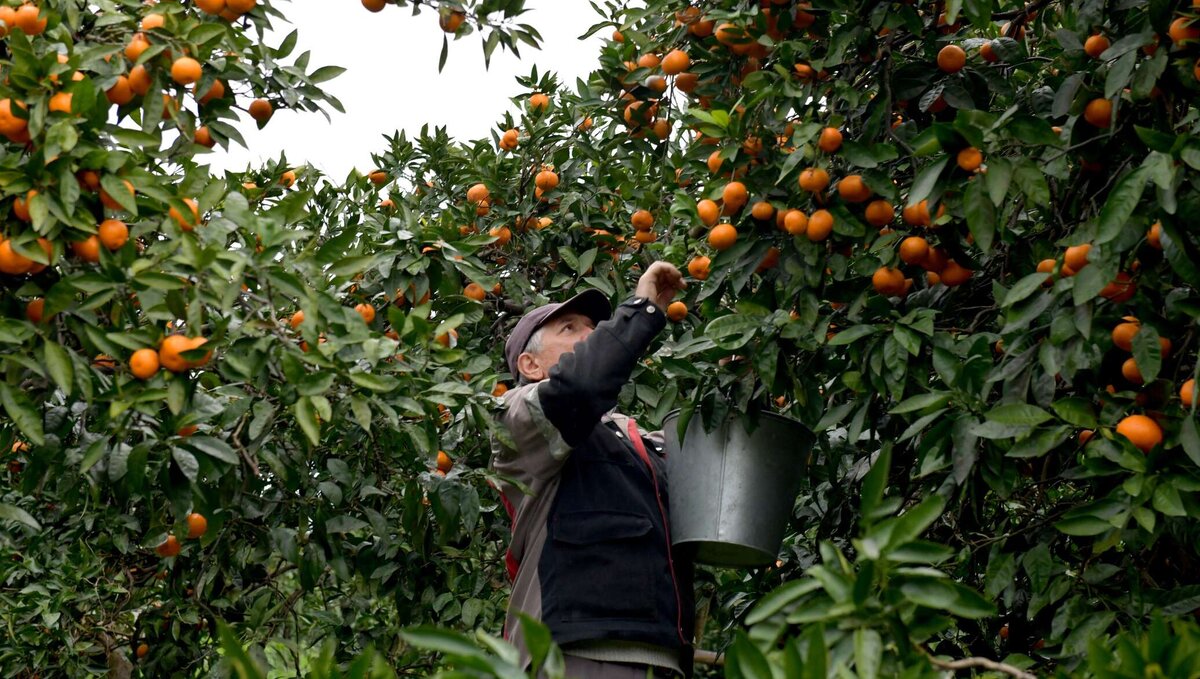 Источник: Интернет