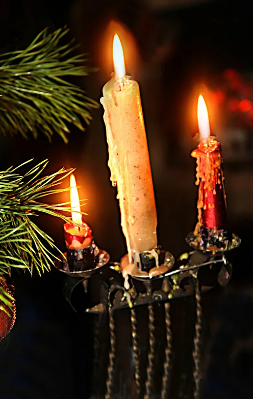 картинки Яндекс