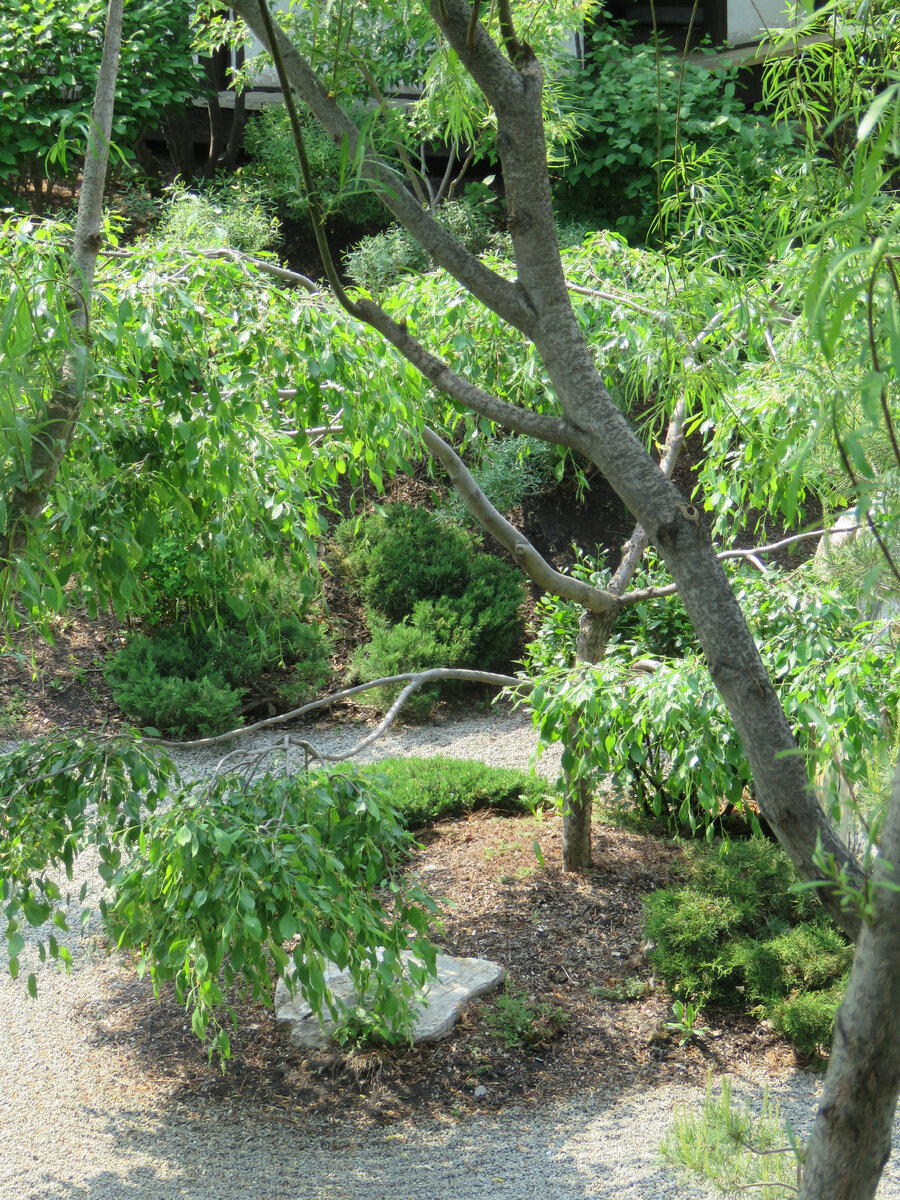 Со скольки градусов не ходят в школу. При какой температуре не ходят в школу. Продуктивность сна по часам таблица. До скольки можно гулять 14 лет детям по закону. Со скольки лето можно работать.