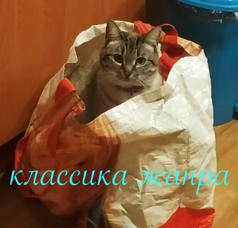 Прикольно можно