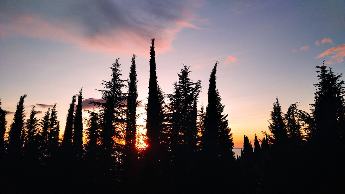 Рассвет 26 декабря 2023. 