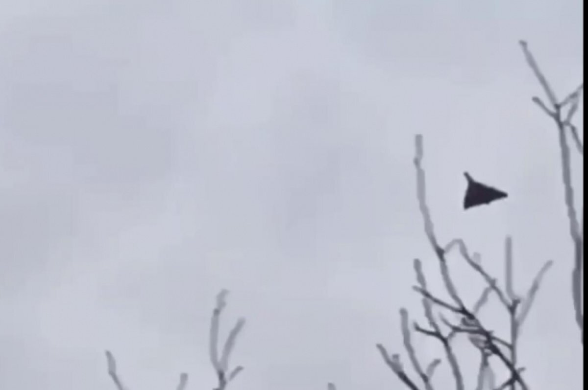    Российский дрон Герань в Киевской области.