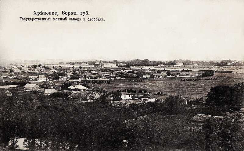 Село Хреновое основано в 1758 году на речке Хреновая , получившей название по росшему на её берегах хрену.