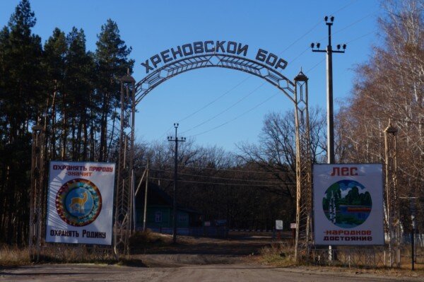 Хреновской бор - островной лесной массив на левом берегу р. Битюг, площадью около 40 тыс. га, имеет водоохранно-защитное значение. С начала ХVIII в. до нач. ХIХ века в результате бессистемных рубок и пожаров площадь Хреновского бора сократилась почти вдвое. В 1845 году, после того, как графиня Анна Орлова-Чесменская ,продала своё имение вместе с конным заводом государству, Хреновской бор был передан в ведение министерства государственных имуществ.
