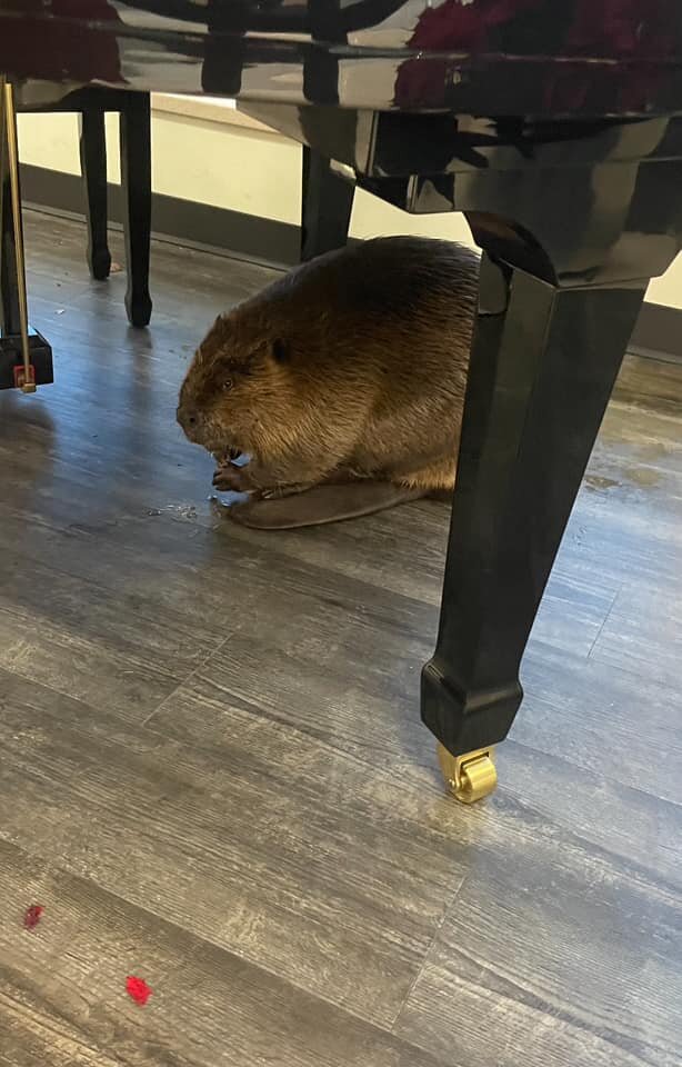    BARTLETT POLICE DEPARTMENT