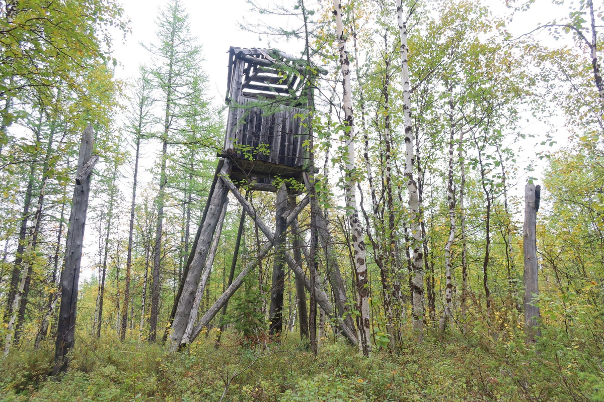 Остатки 501 стройки. Взято: Яндекс.Картинки