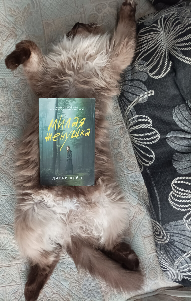 Книгу сегодня взялась представлять "морская звезда" Джессика🤣