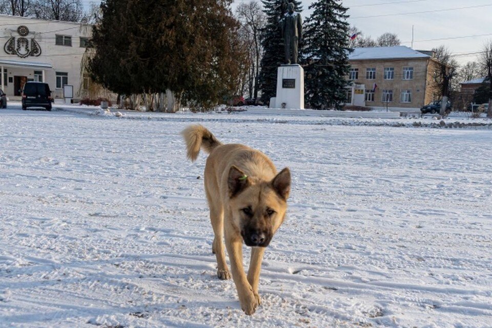 Пройти 8 12 часов