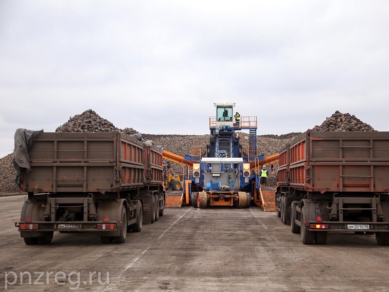    Фото: Pnzreg.ru