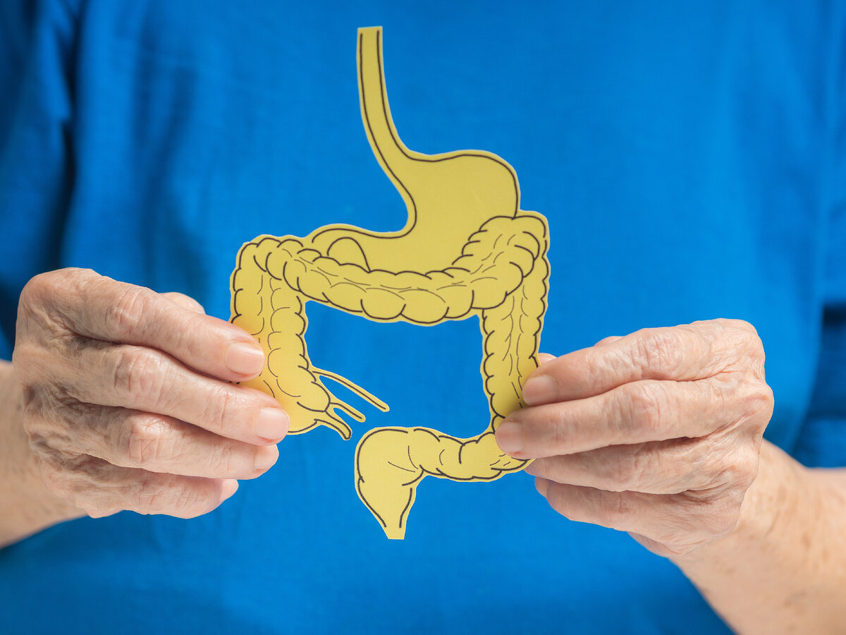 Как улучшить кишечник