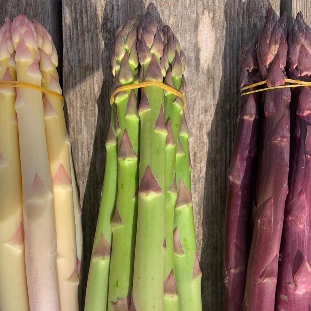 Как правильно приготовить спаржу. Как варить спаржу. Сколько нужно варить спаржу. Спаржа рецепты приготовления на сковороде без морковки. Спаржа с уксусной заправкой.