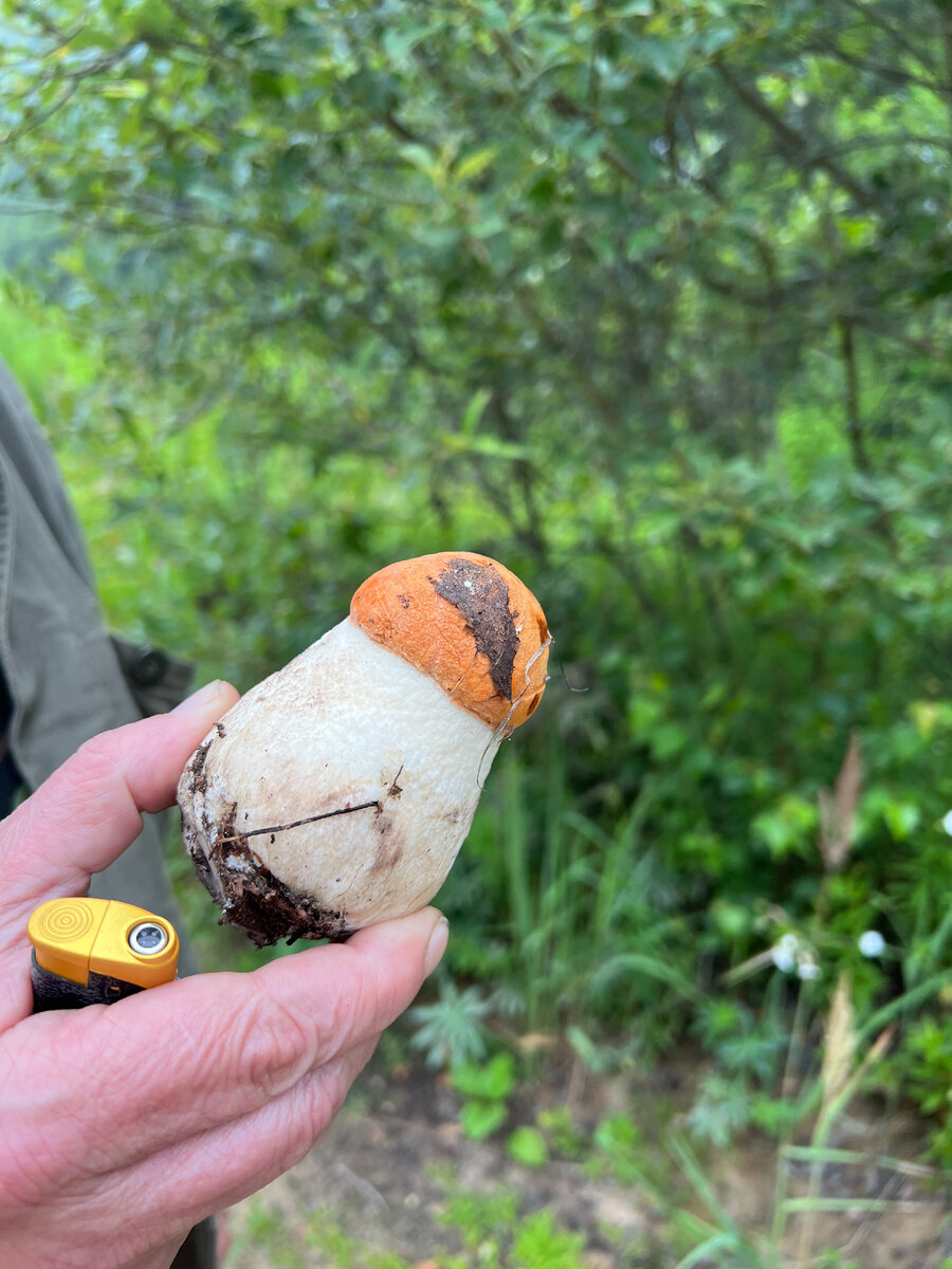 Фото автора . Сезон 2023