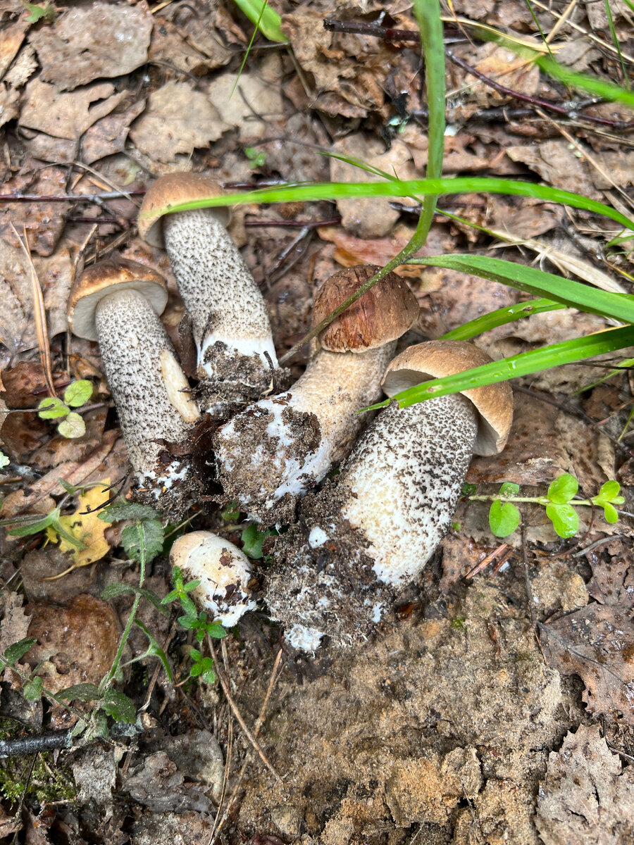 Фото автора . Сезон 2023