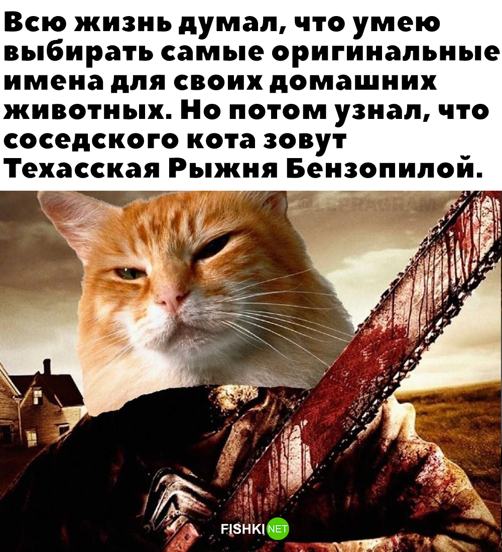 Нейросеть код python. Нейросеть переводит языки. Нейросеть управление с помощью жестов. Gpt-3. Нейросети перевод.