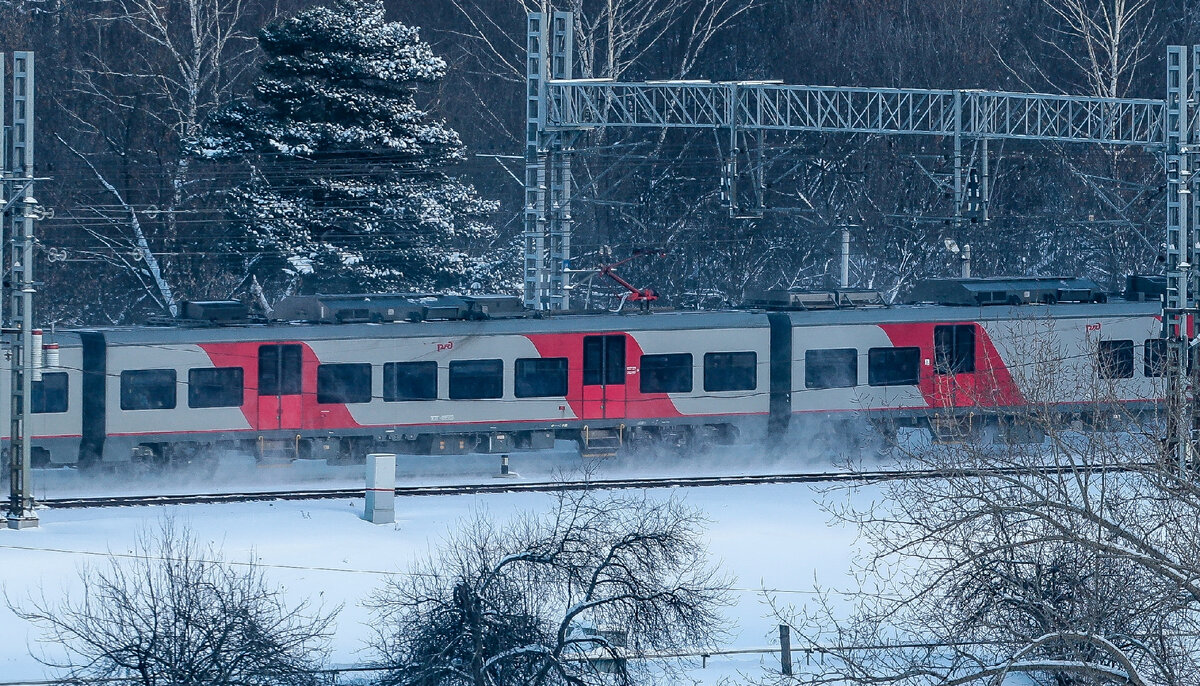 Фото: Dmitry Golubovich/globallookpress.com