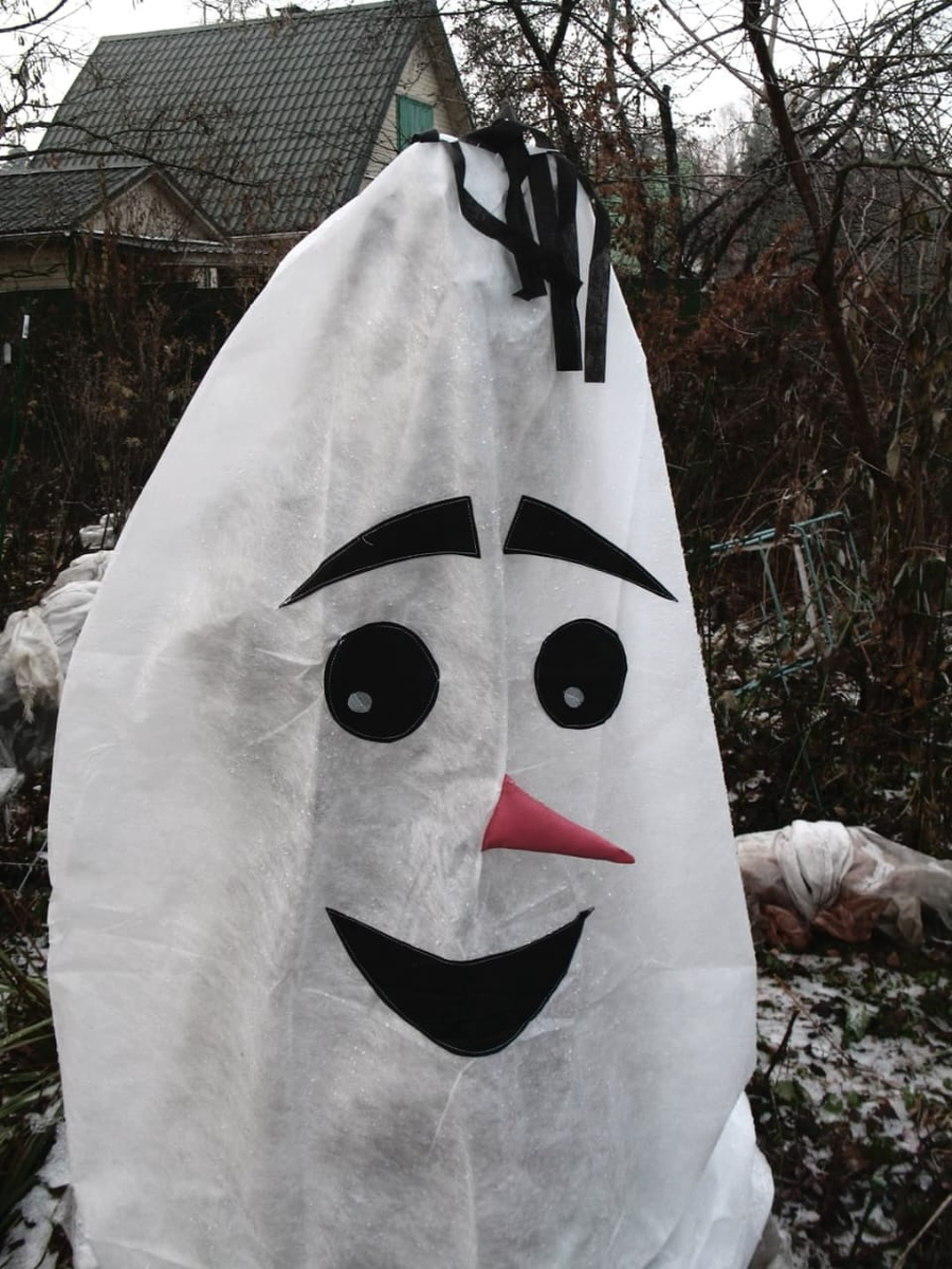 Кустарник можно укрыть и так. Фото: А. Петровой.