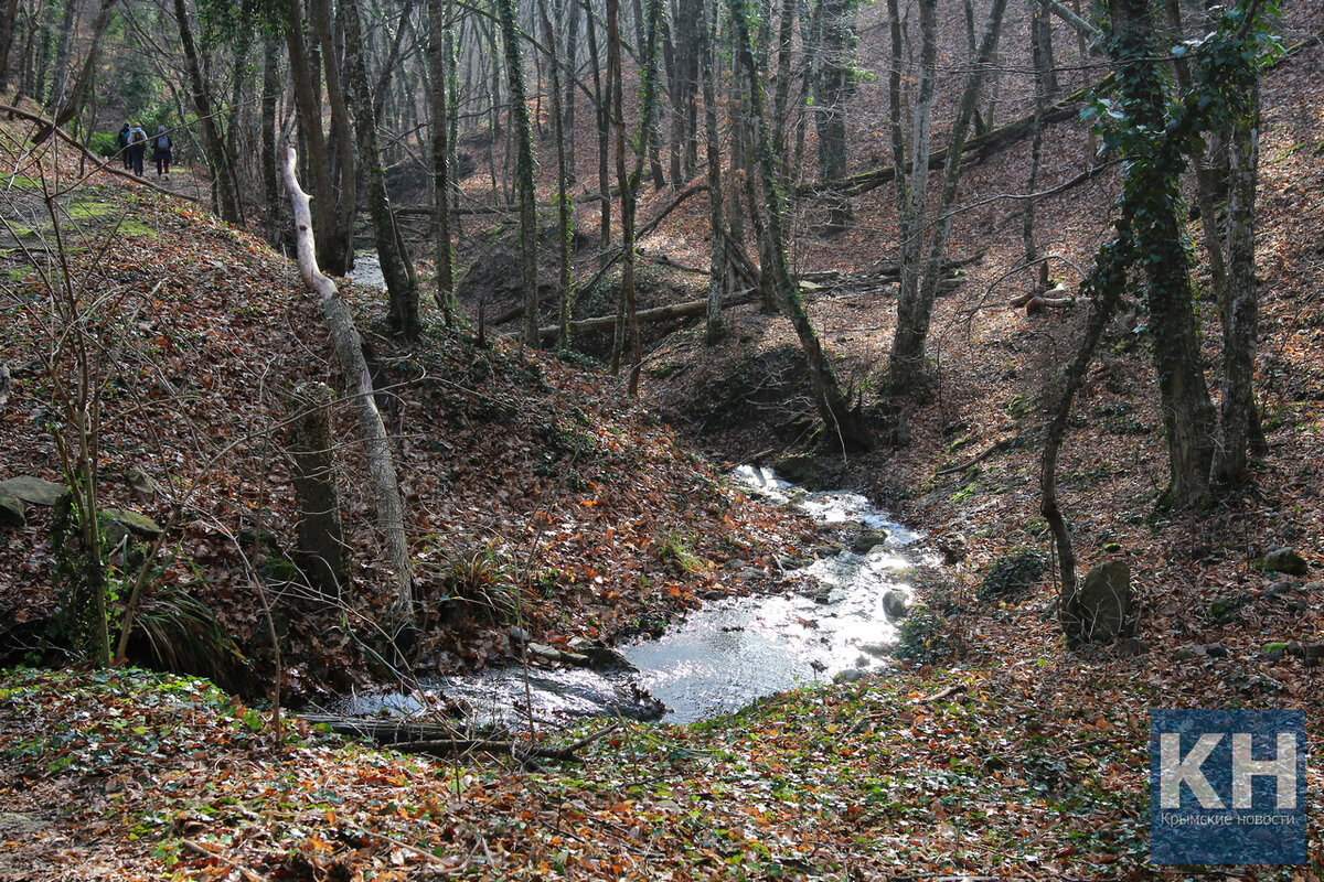 Зюраткуль тропа. Вокруг тропа. Экотропа комарово спб. Экотропа сукнев. Экотропа вуокса.