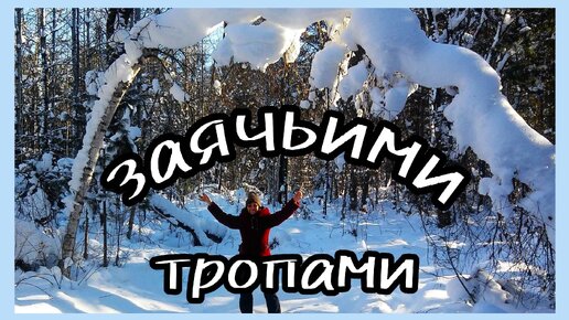 АЛТАЙ. ЗАЯЧЬИ ТРОПЫ🐇🌲❄ В зимнем лесу пос. АРТЫБАШ. Телецкое.