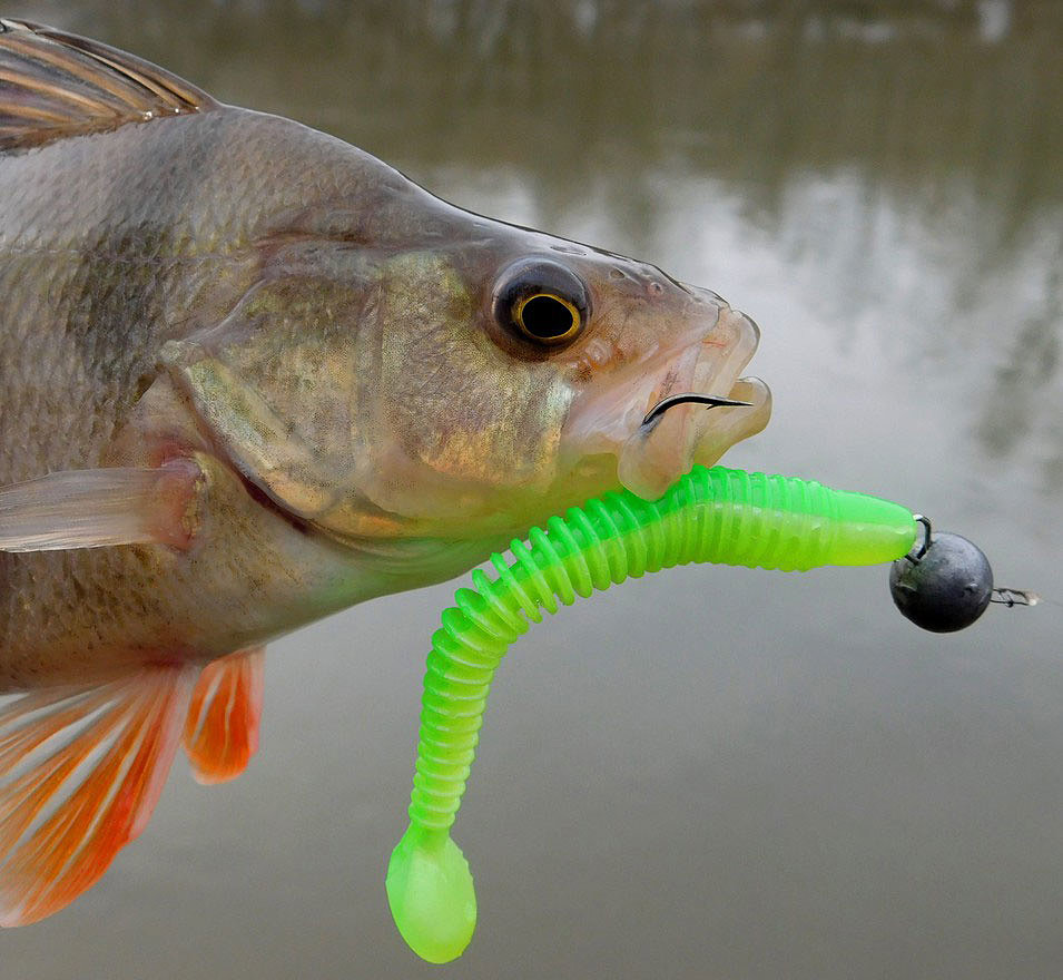 Фото с сайта: https://pf-fishing.ru/wa-data/public/photos/27/01/127/127.970.jpg