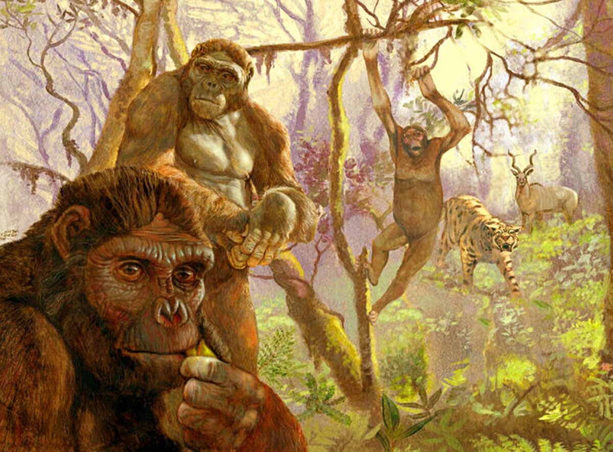 Ardipithecus ramidus, обитавший в Африке более 4 миллионов лет назад. Иллюстрация от Артуро Асенсио