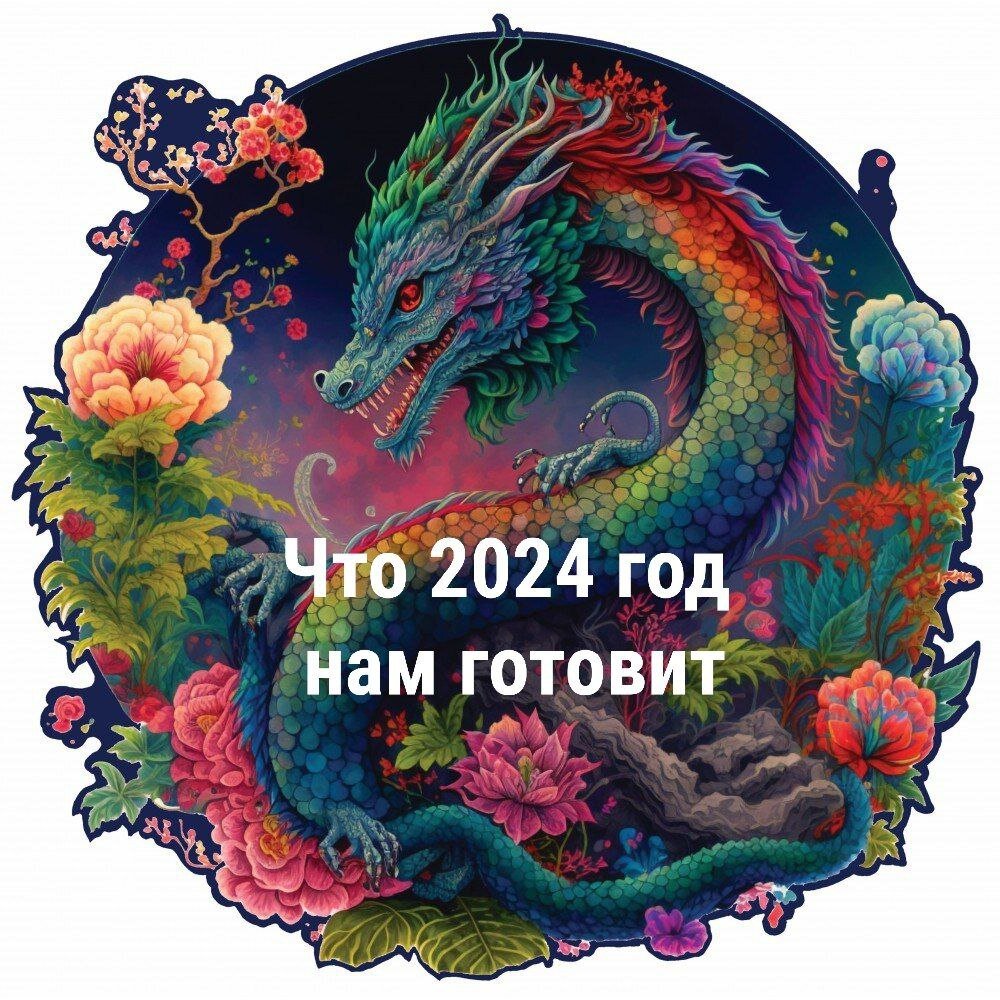 Дракон 2024 что готовить