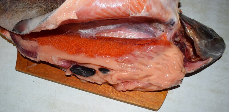 Потрошим рыбу