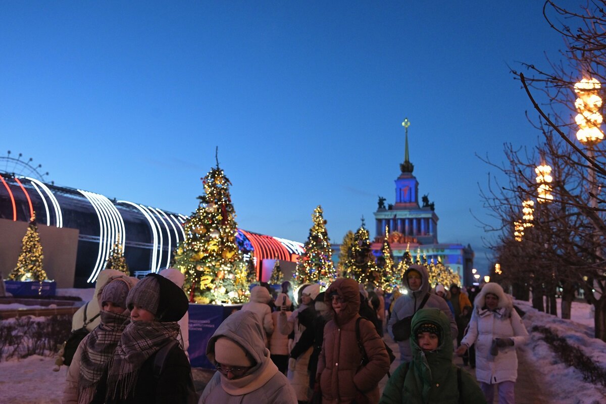 Важность выставки сложно переоценить, заметил политолог.  Фото: Евгений Биятов / Фотохост-агентство РИА Новости