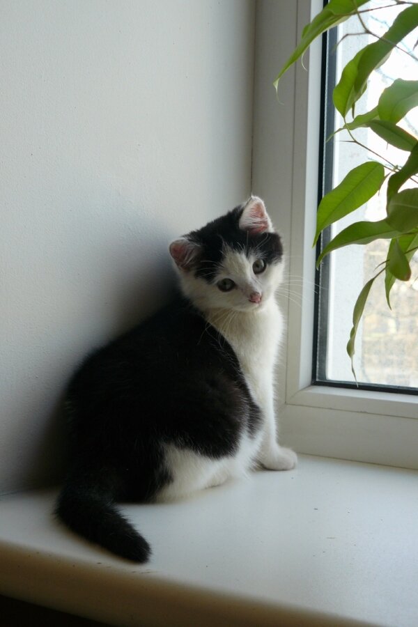 Первые дни у нас дома.