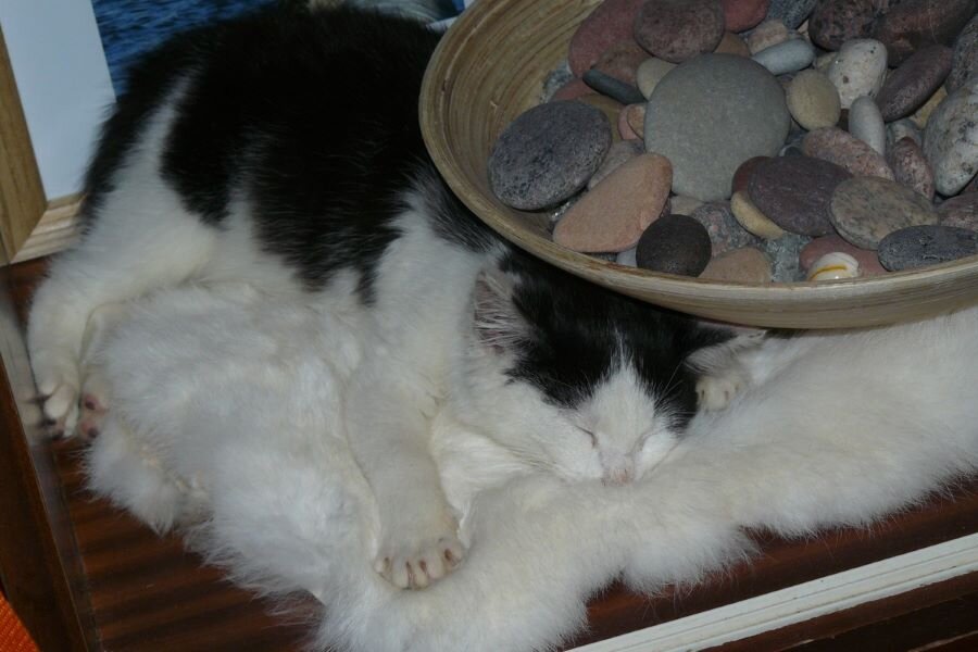 Отсыпалась как могла:)