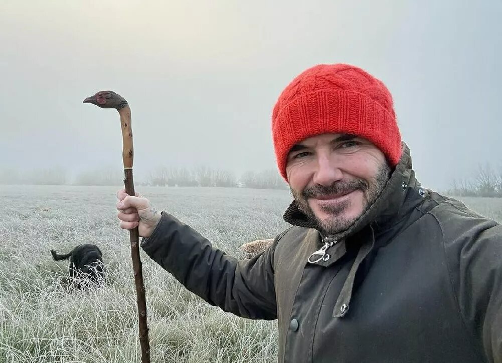    Как выглядит семейное поместье Бекхэмов после шторма — показывает Дэвид