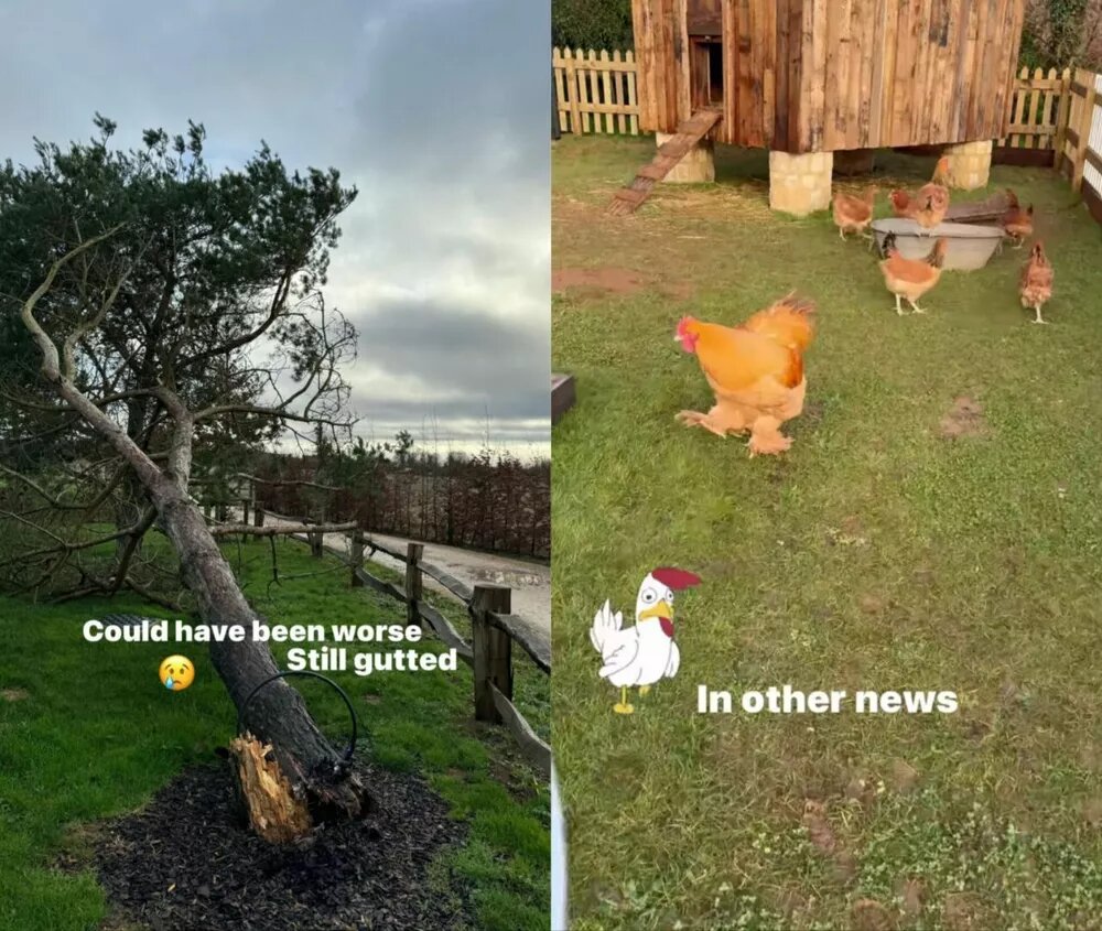 Из блога Дэвида Бекхэма📷
