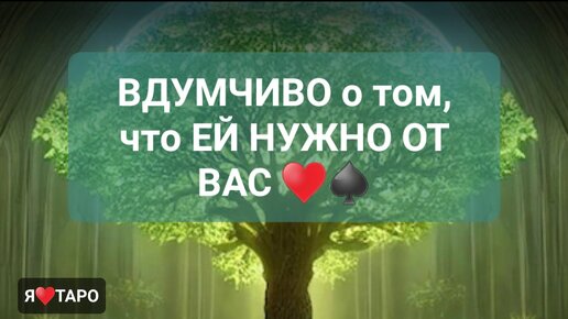 О том что это