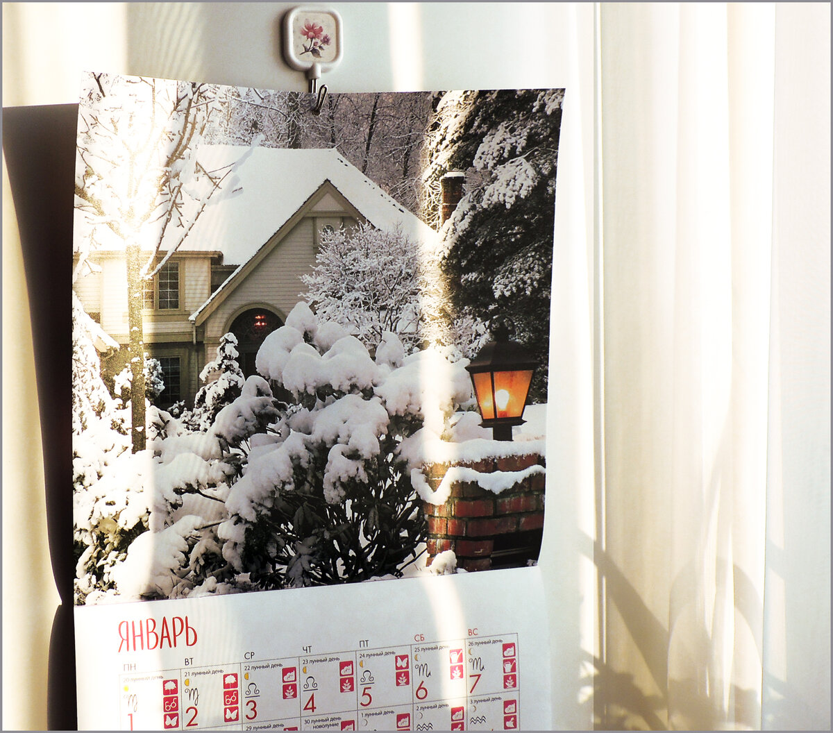 Фото автора статьи.