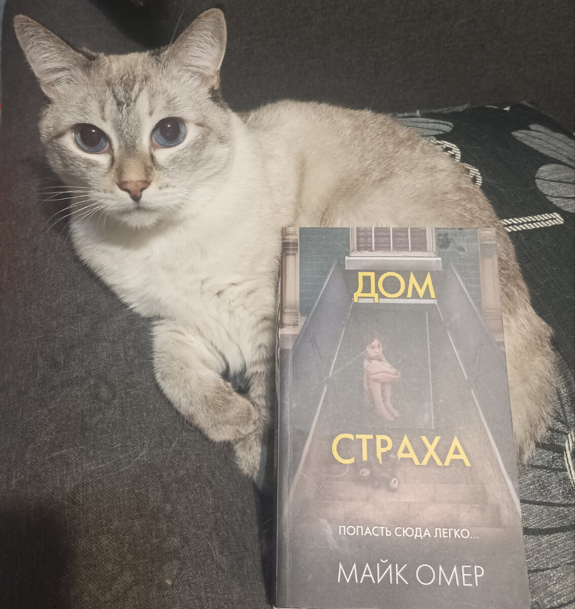 Сегодня её представляет "обаяшка" Дженька. 