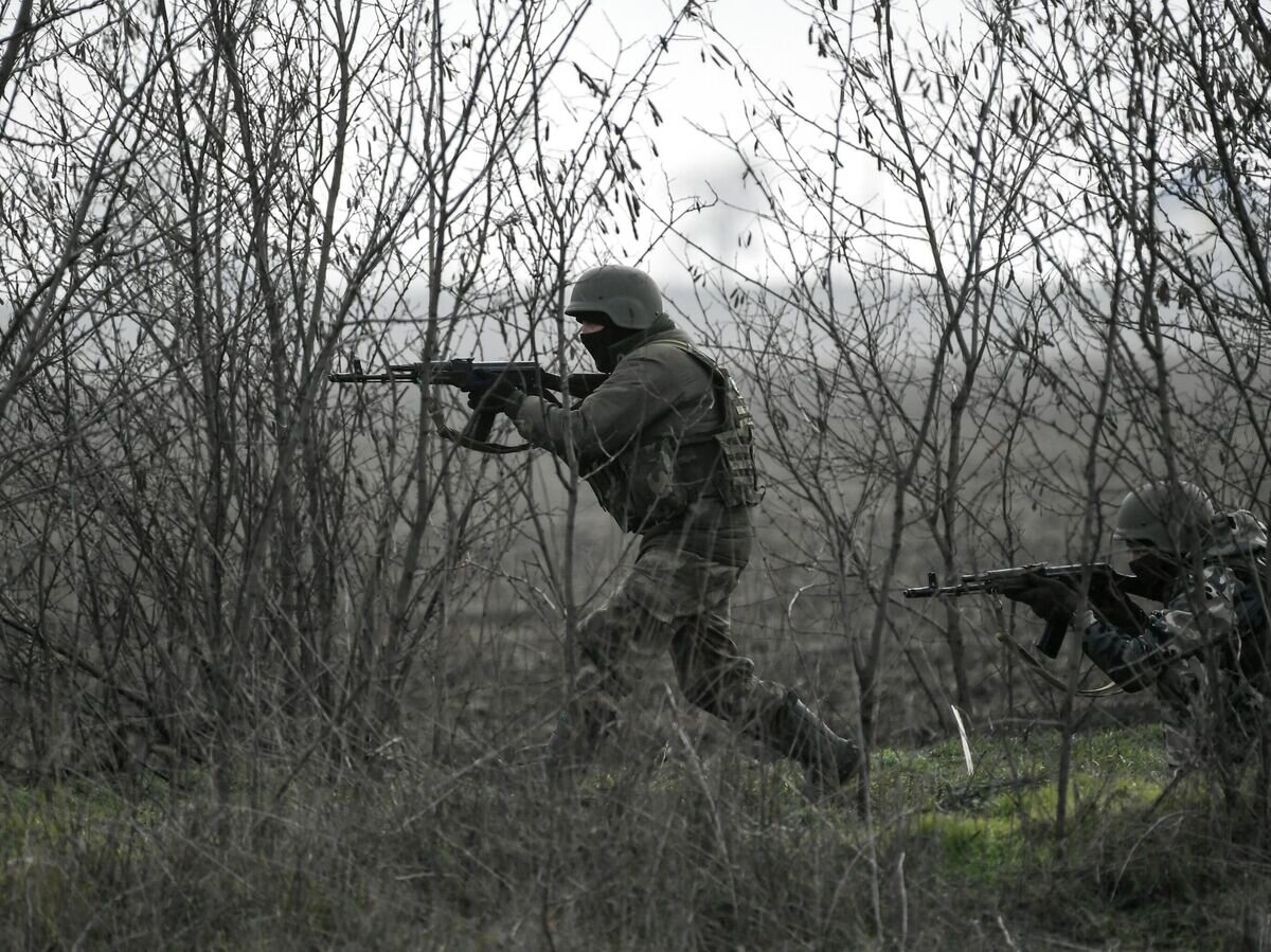    Военнослужащий на Запорожском направлении© РИА Новости / Константин Михальчевский