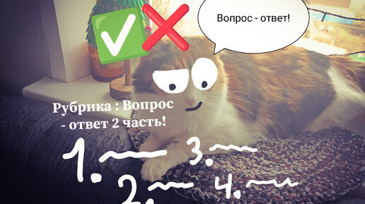 Угадай вопрос