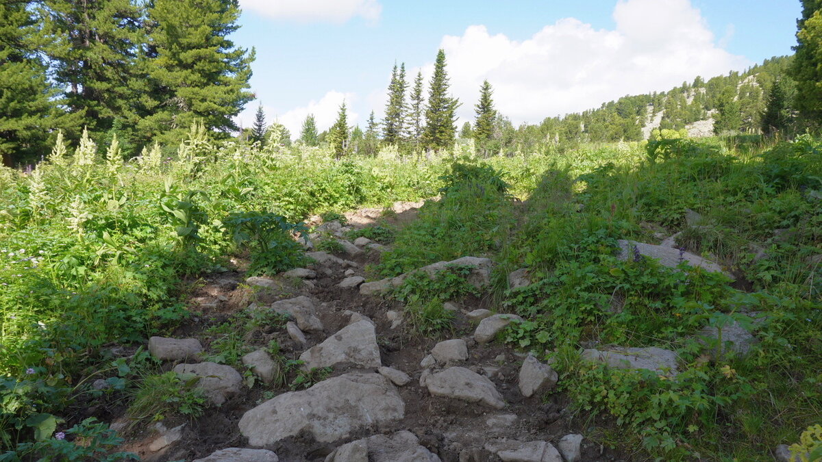 На травянистом склоне встречаются небольшие участки курумника