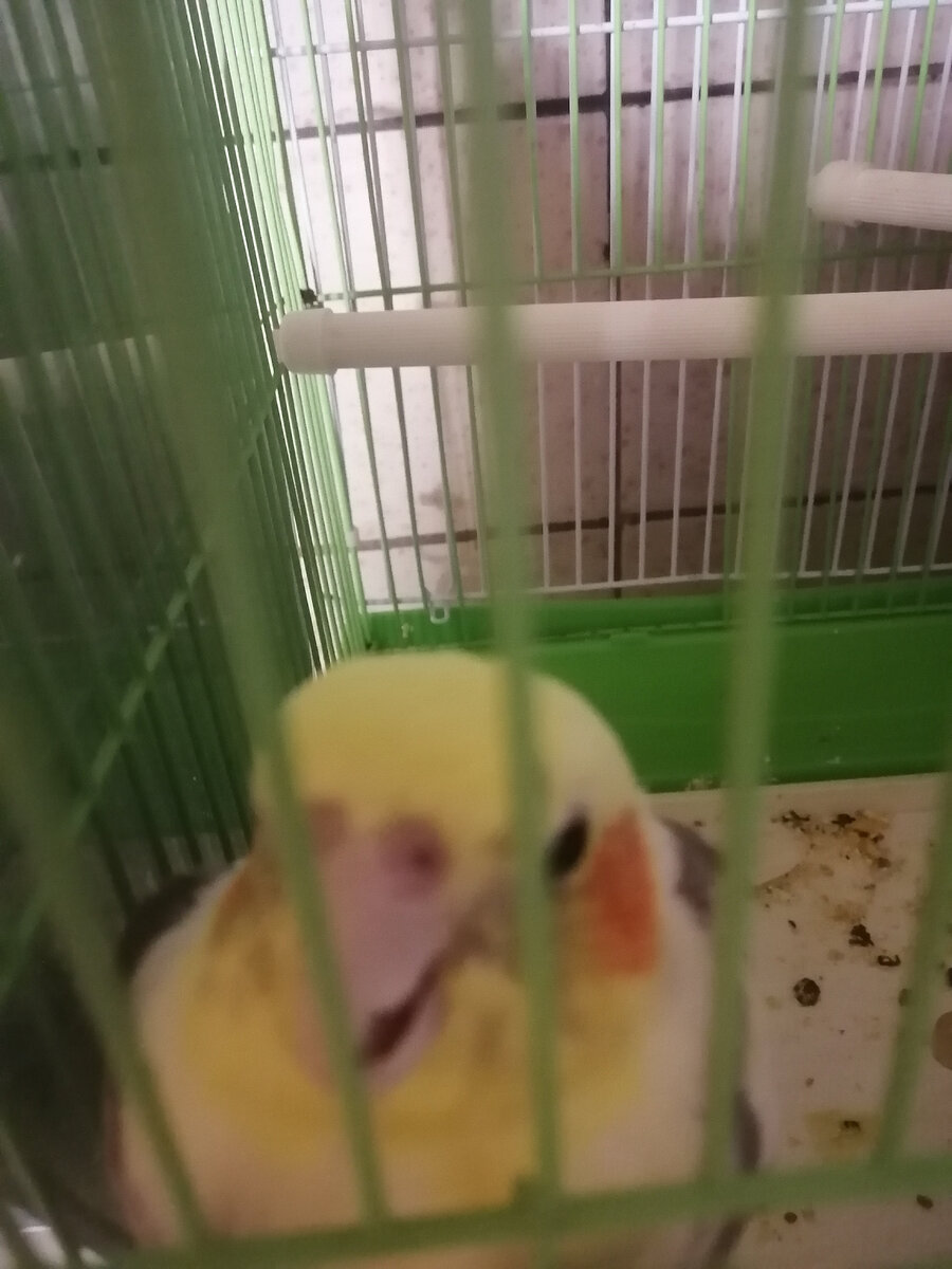 Новогодние каникулы закончились. Месяц не сидела за рулем наконец села все на дороге орут руками машут. Месяц не сидела за рулем. Соскучились черти все сигналят. Месяц не сидела за рулем наконец села все на дороге орут руками машут.