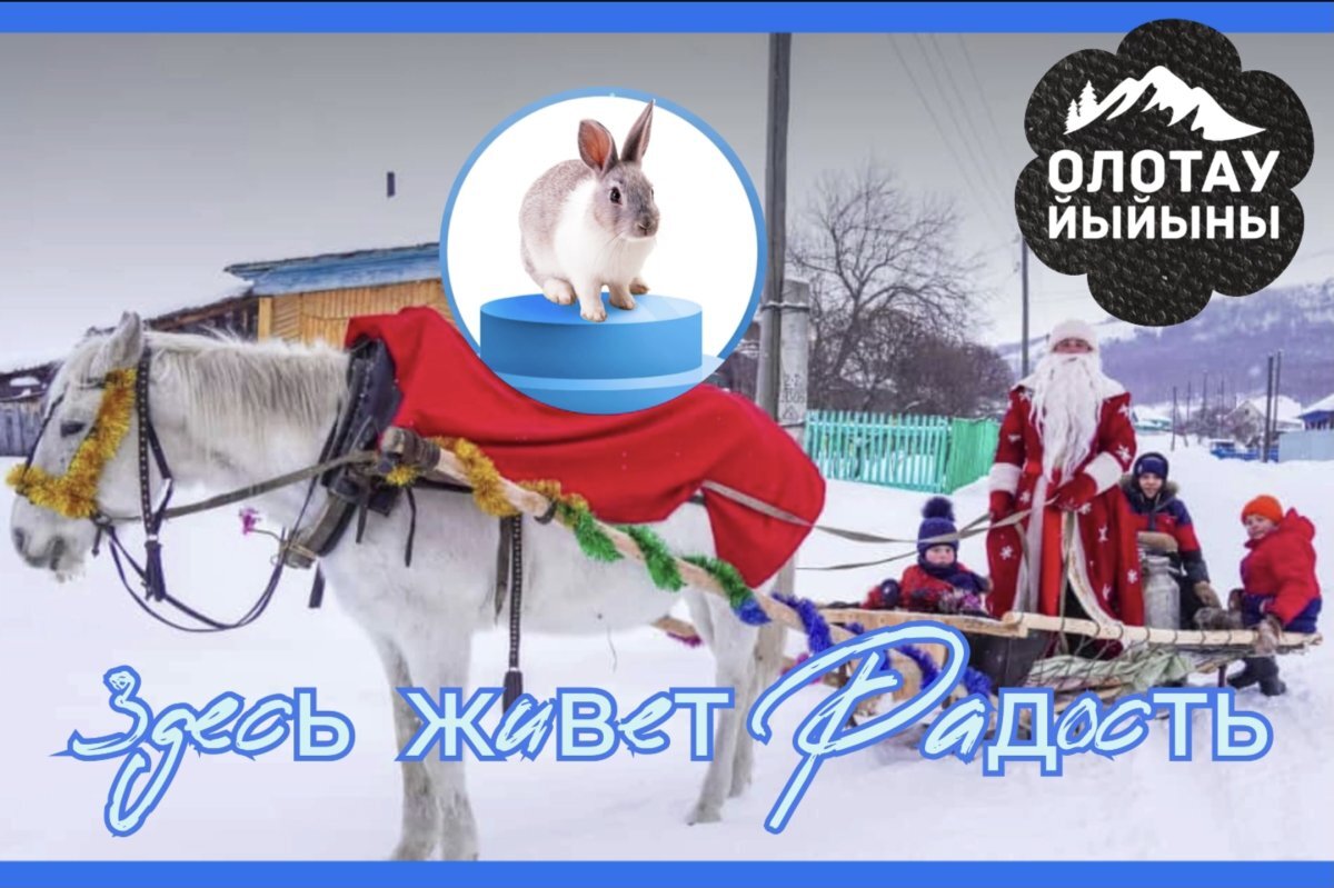    На «Олотау турниры» кролика выиграл местный тракторист Венер Сайфитдинов