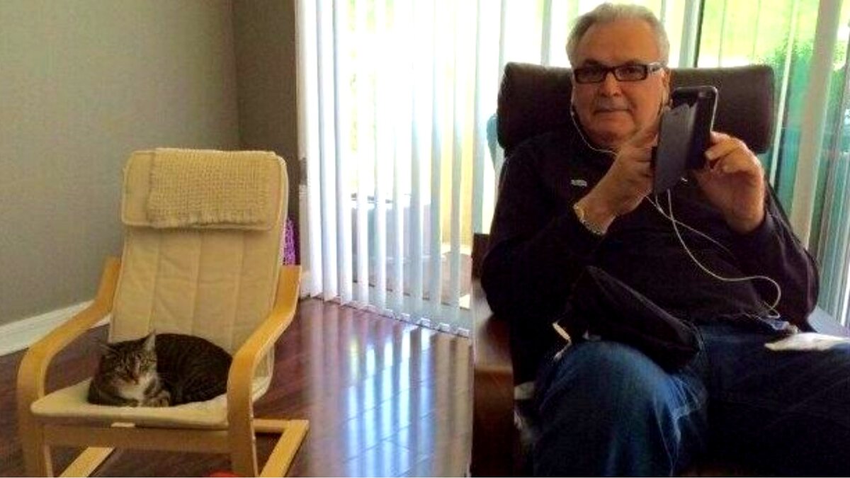 Стоун вуд хаус. Искусственные цветы для украшения интерьера дома. Можно ли дома. Форкс сумерки дом калленов. Голицынский кирпич терракотовый.