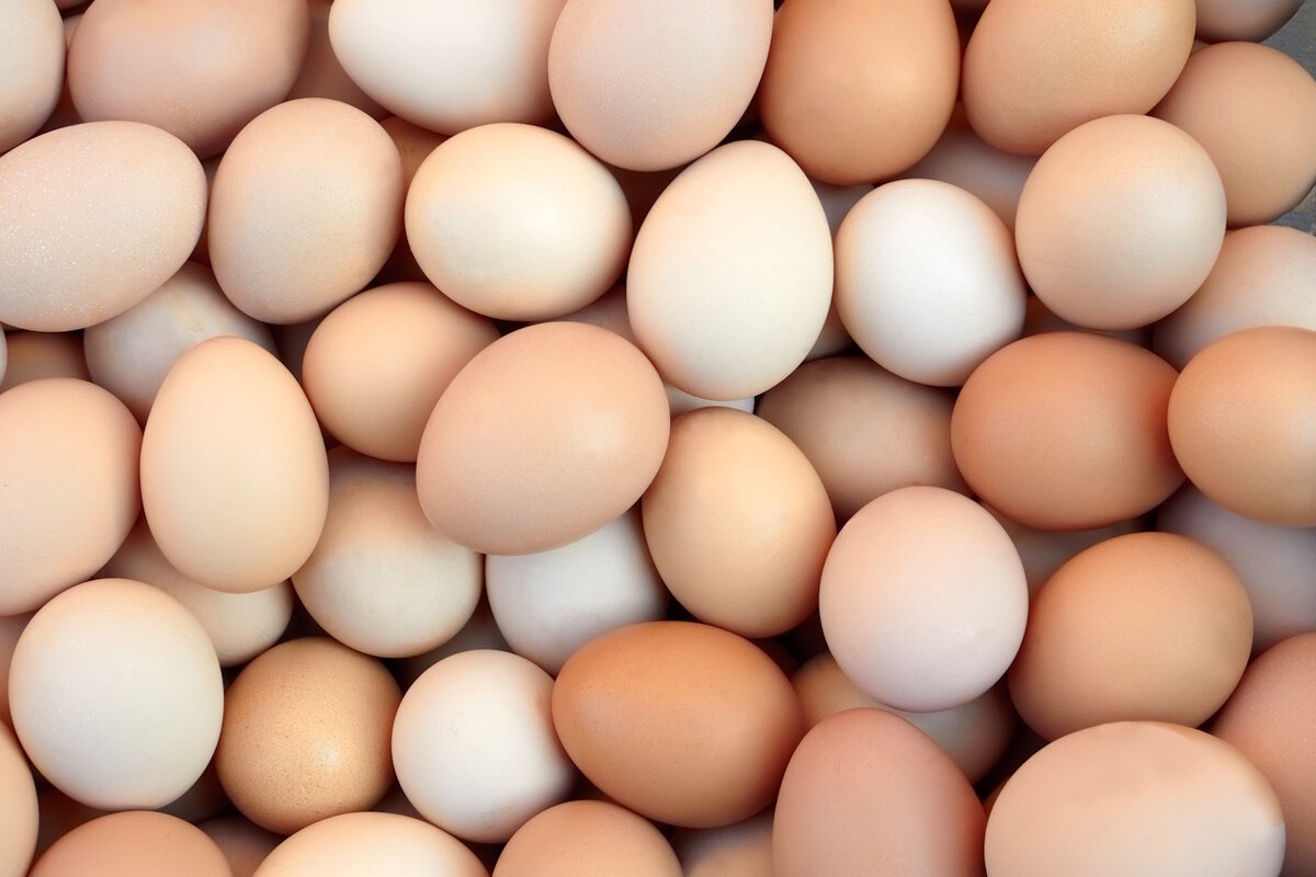 Яйца пять раз в неделю делают вас стройнее! Полезное открытие