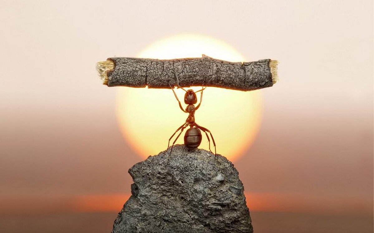 Спорт смысл жизни