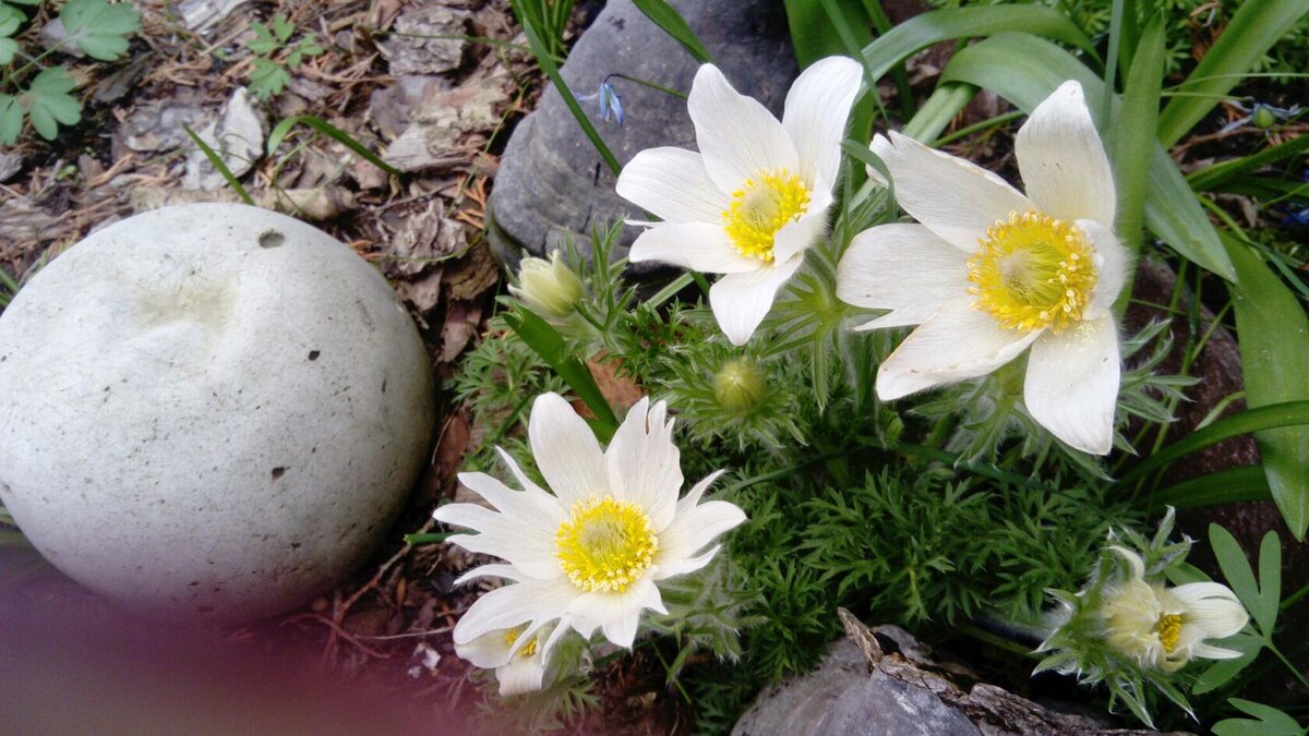 через 3 года