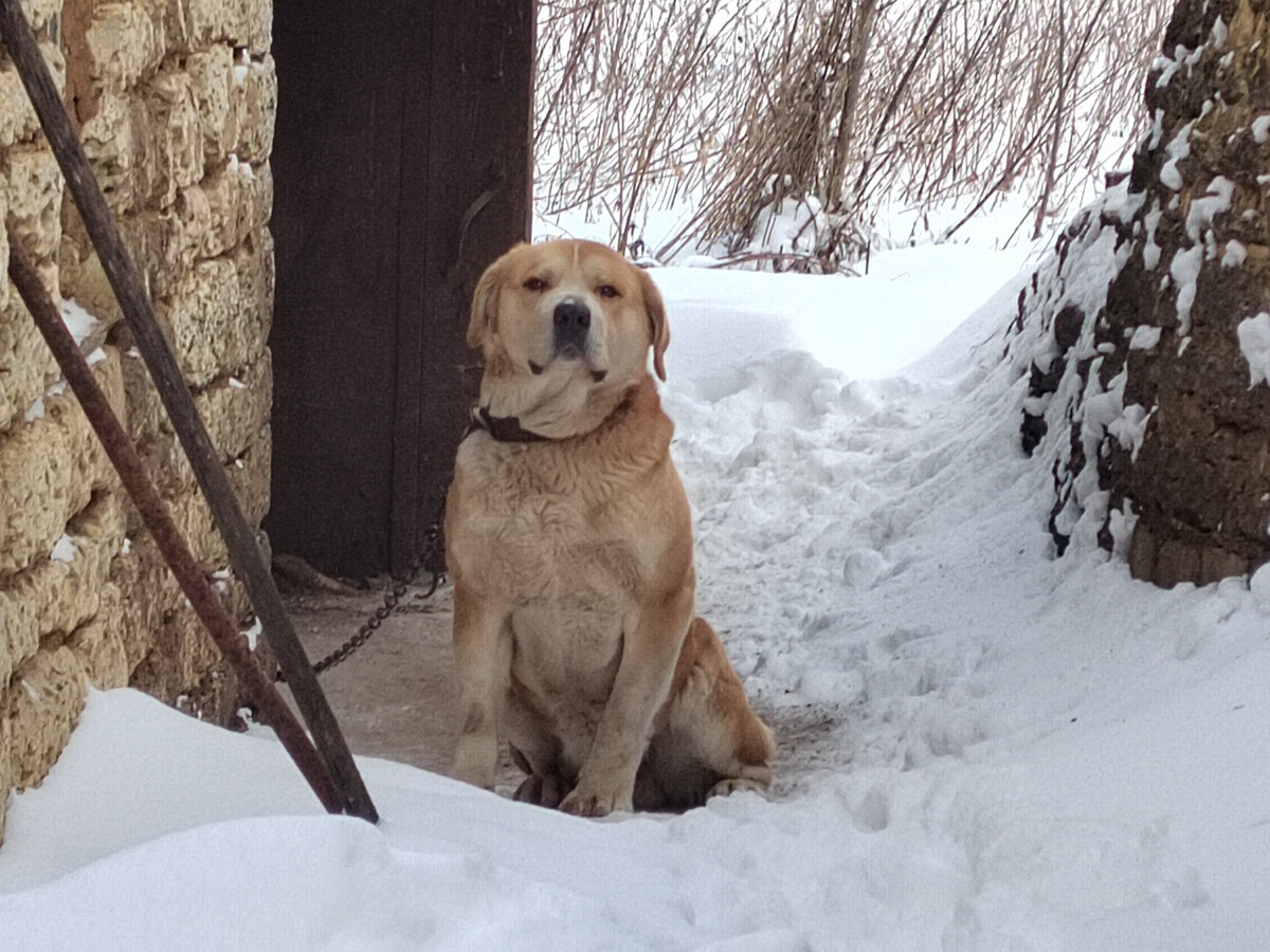Фото автора канала.